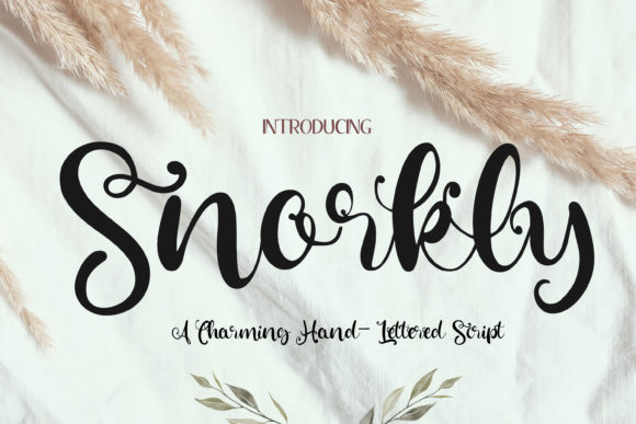 Bring Whimsy to Your Creations with Snorkly Font