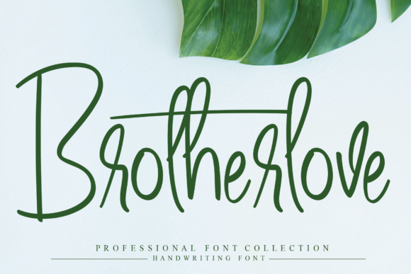 Brotherlove: A Delicate Script Font for Elegant Campaigns