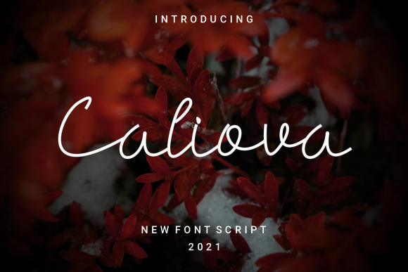 Caliova: A Delicate Script Font for Creative Makers