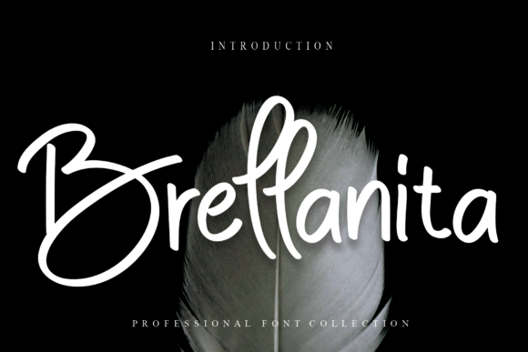 Introducing Brellanita: A Versatile Handwritten Font for Marketers